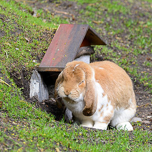 LR5.7, ISO 400, 1/800 Sek. bei f/5,6, 320 mm.