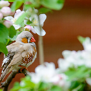LR5.7, ISO 3600, 1/800 Sek. bei f/6,0, 450 mm.