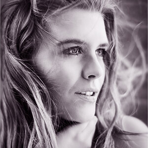 D80 8739 web
