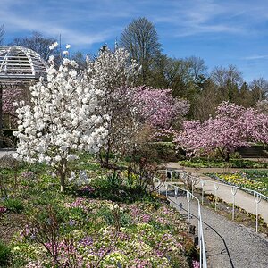 Frühling im Botanischen Garten München-Nymphenburg