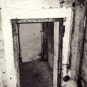 TZ P1010300 2