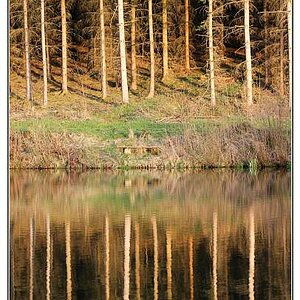 IMG 4828.jpg Stilletal 2