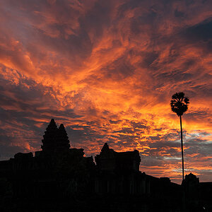 Angkor Wat S75