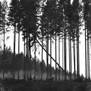 Hinterwald 016  sw klein