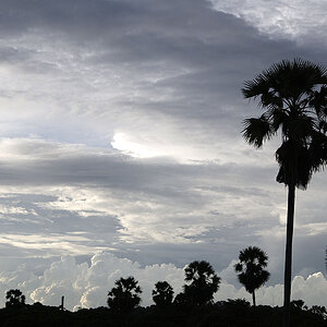 Angkor Wat S51