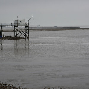 Bei Fouras (Charente Maritime)
DSE 0212