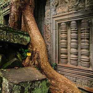 Ta Prohm S  14 (3)