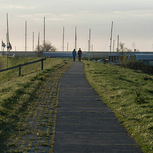 friesland 30
