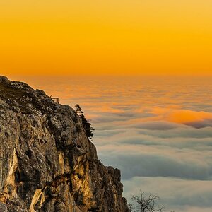 Hohe Wand
