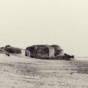 TZ DSC 2818 2