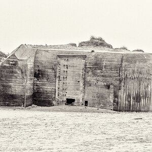 TZ DSC 2773 2