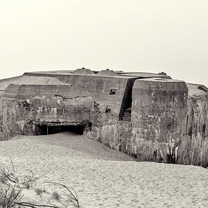 TZ DSC 2786 2