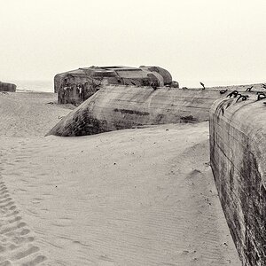 TZ DSC 2791 2