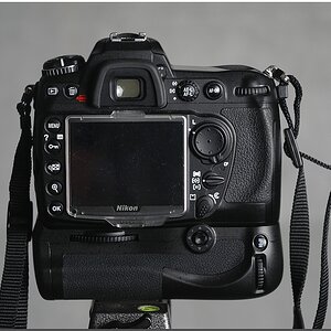 KR DSC 1831 02