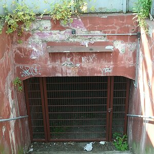 KR DSC 1106
