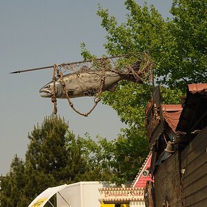 KR DSC 1113