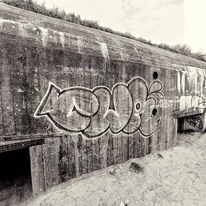 00 ZIM 0486 SW