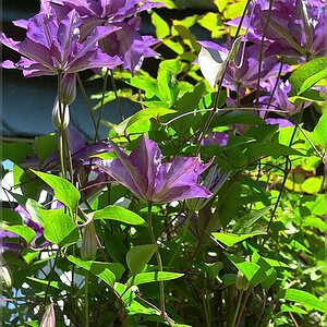 xDSC 5958 107