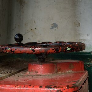 KR DSC 1231