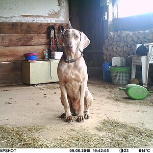 Testmodel