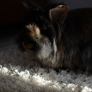 Test 2