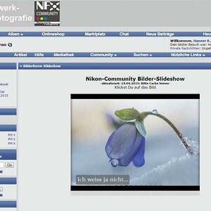 NF F Portal