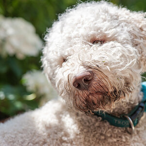 Rico Portrait