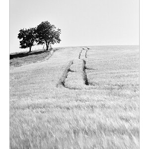der weg 4