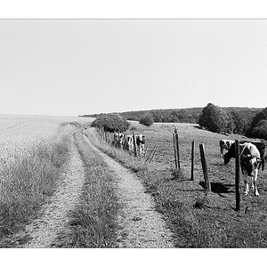 der weg 5
