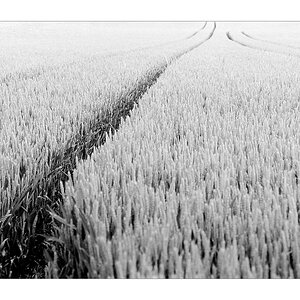 der weg 2