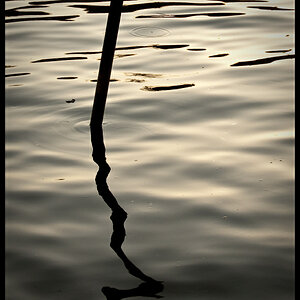 Wasserstab 2