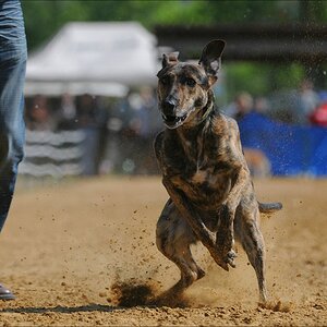comp NWR Spaßrennen 3115