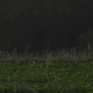 crop2