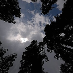 Lichtblick Yosemite