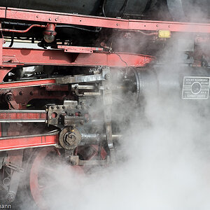 20090509 8394 [D700]   F8,0 70,00mm