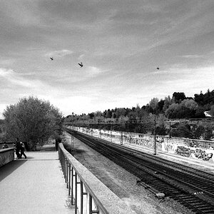 Madrid Street 38.tif.