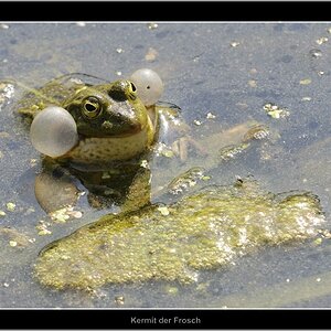 Vogelpark 09