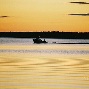 Mitsommer an dem See Päijänne - Rückkehr der Fischer
Nikon F-801s, Nikkor AF 80-200/2,8 ED
Fuji-Diafilm digitalisiert