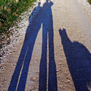 Schattenbild