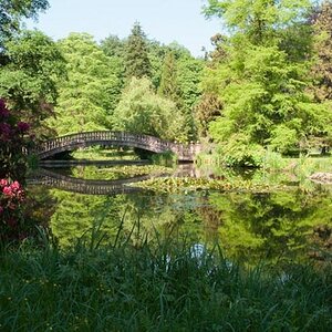 090523 0002 Schloss Wolfsgarten 2009