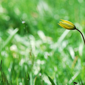 fruehling2