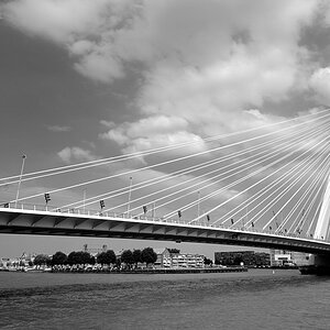 20080725 164832swRotterdam