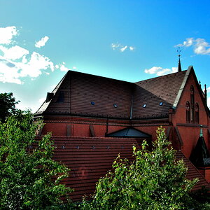 DSC 0236 01