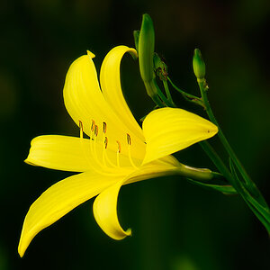 20090509 161757ps