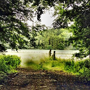 waldweg