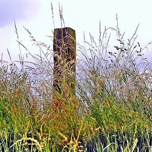 feldmark