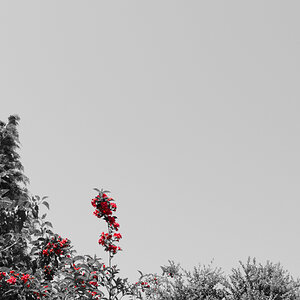 276/365