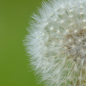 crop2
