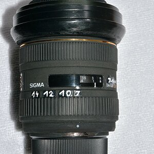 DSC 8916