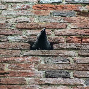 der Blick aus dem Fenster